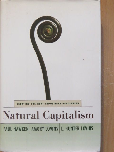 Amory Lovins - Natural Capitalism [antikvár]