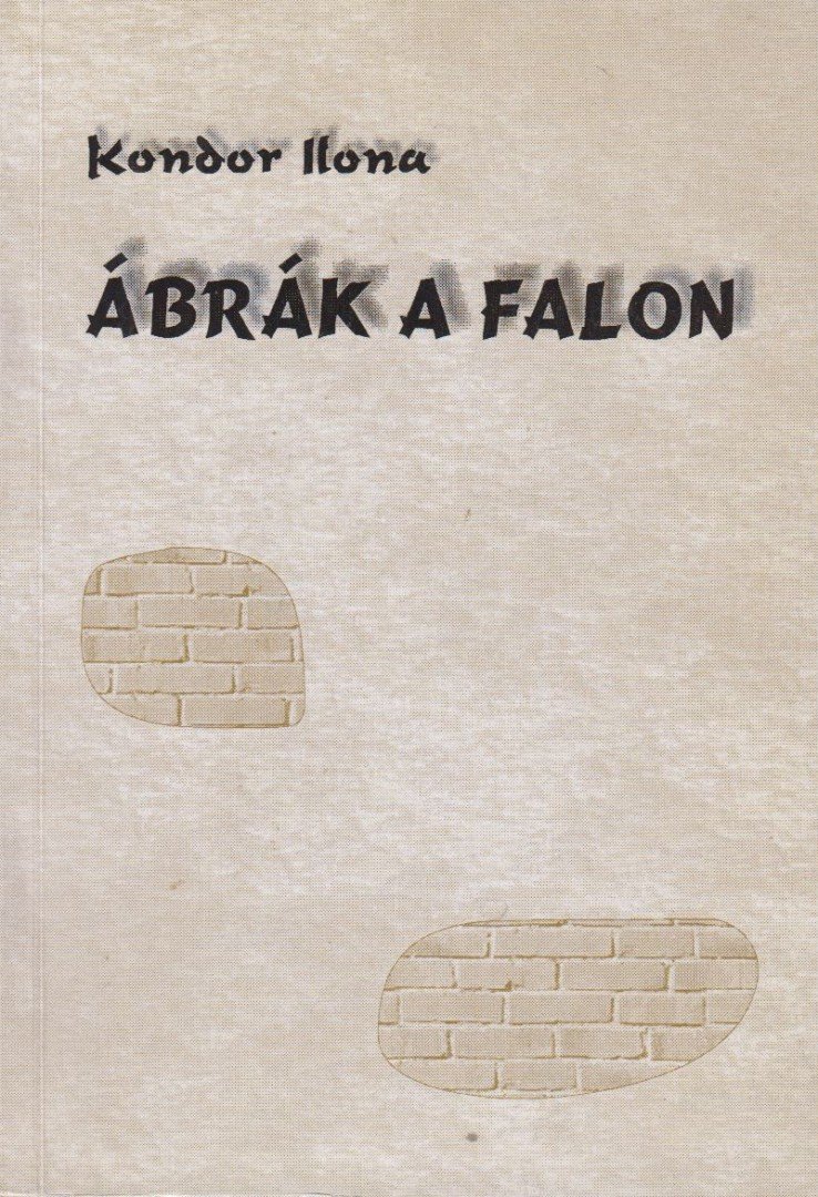 Kondor Ilona - Ábrák a falon [antikvár]