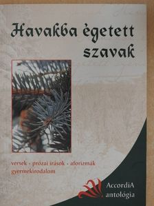 Adorján Balázs - Havakba égetett szavak [antikvár]