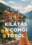 Adriana Trigiani - Kilátás a Comói-tóról