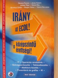 Devecz Ferenc - Irány az ECDL!/a középszintű érettségi! [antikvár]