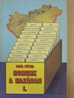 Soós Péter - Honunk a hazában 1.  [antikvár]
