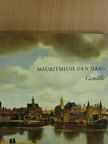 Magdi Tóth-Ubbens - Mauritshuis Den Haag [antikvár]