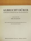 Emil Waldmann - Albrecht Dürer [antikvár]