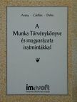 Dr. Arany Jánosné - A Munka Törvénykönyve és magyarázata iratmintákkal [antikvár]
