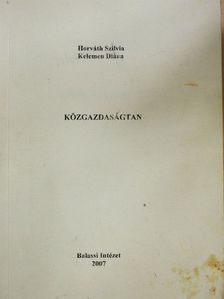 Horváth Szilvia - Közgazdaságtan [antikvár]