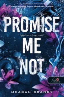Meagan Brandy - Promise Me Not - Ígérd meg, hogy nem!