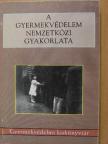 Csókay László - A gyermekvédelem nemzetközi gyakorlata [antikvár]