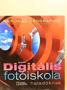 Vincent Oliver - Digitális fotóiskola haladóknak [antikvár]