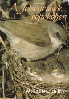 M. Basilea Schlink - A felségesnek rejtekében [antikvár]
