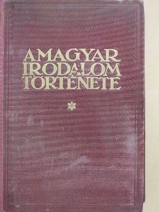 Endrődi Sándor - A magyar irodalom története 1900-ig [antikvár]