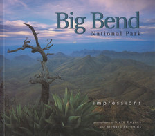 Steve Guynes, Richard Reynolds - Big Bend [antikvár]