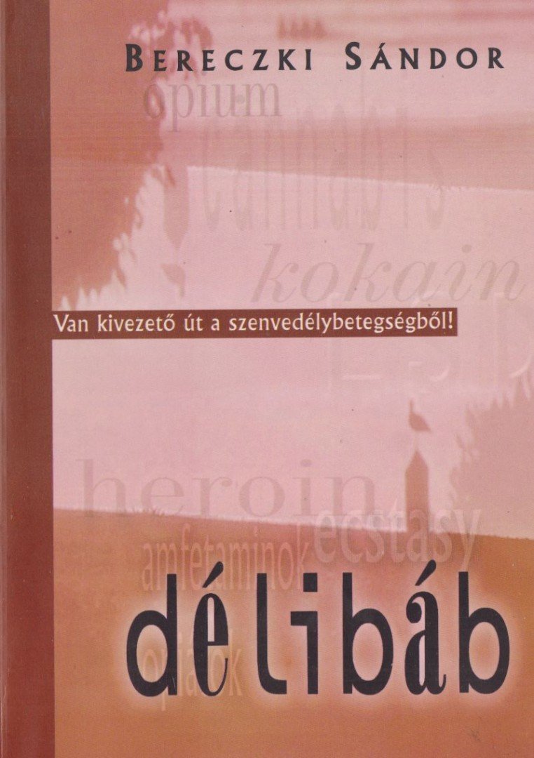 Bereczki Sándor - Délibáb [antikvár]