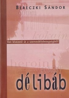 Bereczki Sándor - Délibáb [antikvár]