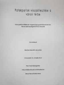 Schneller István - Patakpartok visszaillesztése a városi térbe [antikvár]