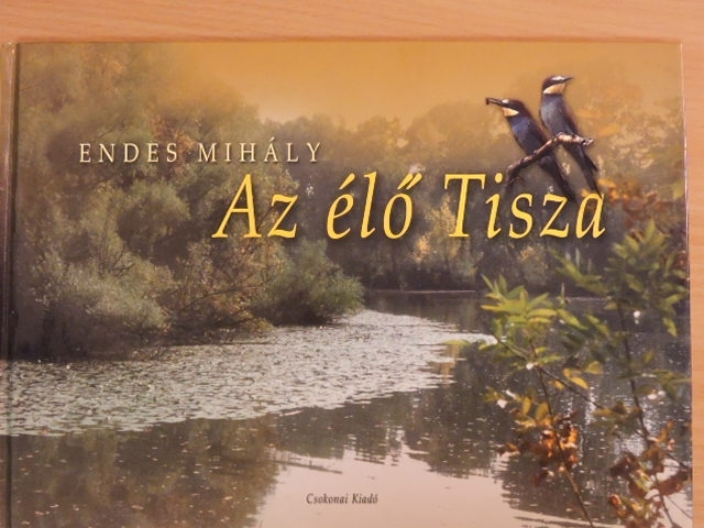 Endes Mihály - Az élő Tisza [antikvár]