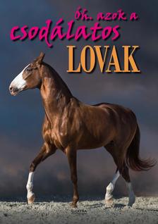 Bernáth István - Ó azok a csodálatos lovak [szépséghibás]