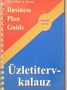 Brian R. Ford - Üzletiterv-kalauz [antikvár]