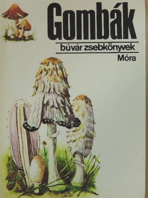 Dr. Kalmár Zoltán - Gombák [antikvár]