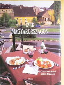 Faragó György - Ízek Magyarországon [antikvár]