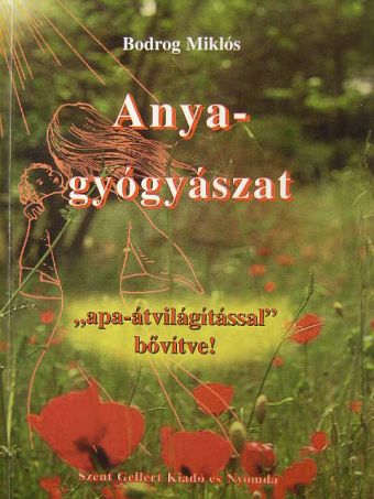 Bodrog Miklós - Anyagyógyászat [antikvár]