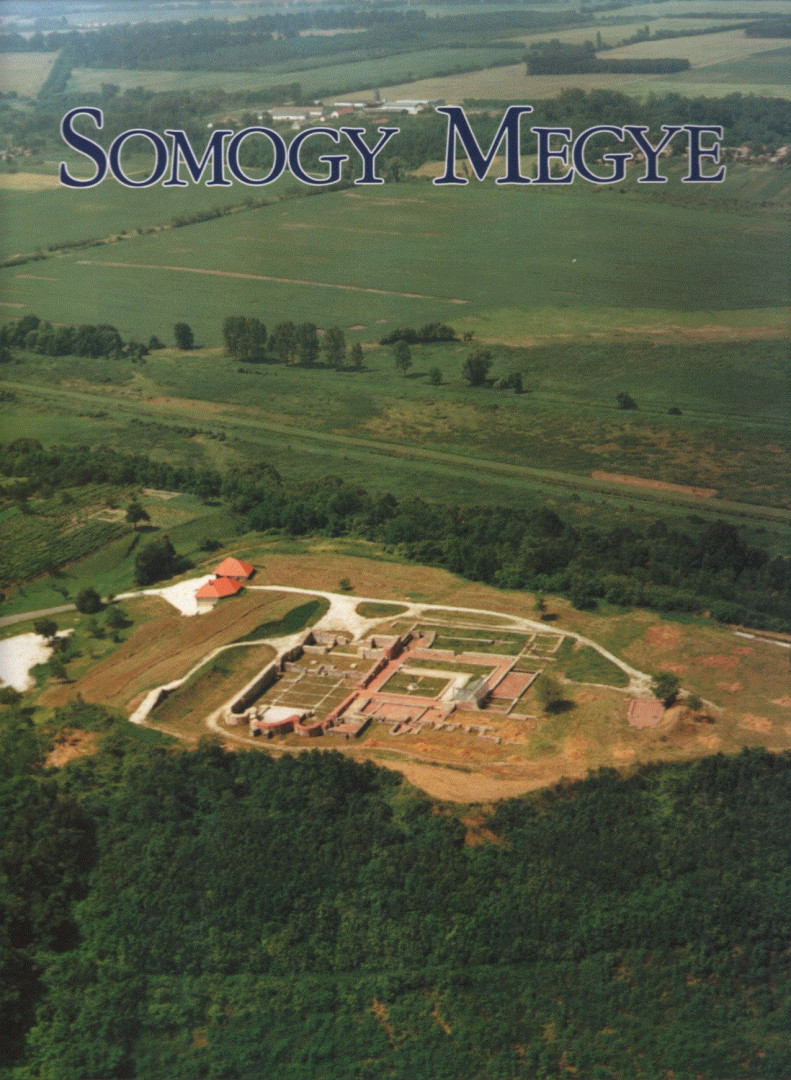 Nagy Pál - Somogy megye [antikvár]