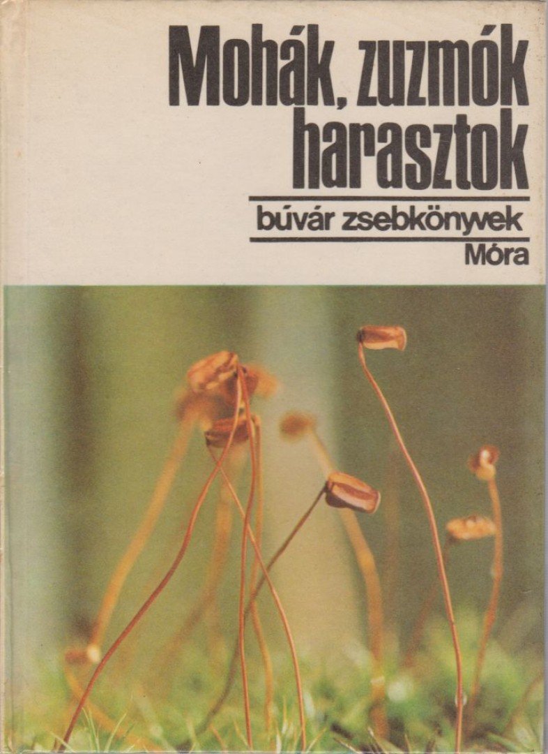 DR. SIMON TIBOR - Mohák, zuzmók, harasztok [antikvár]