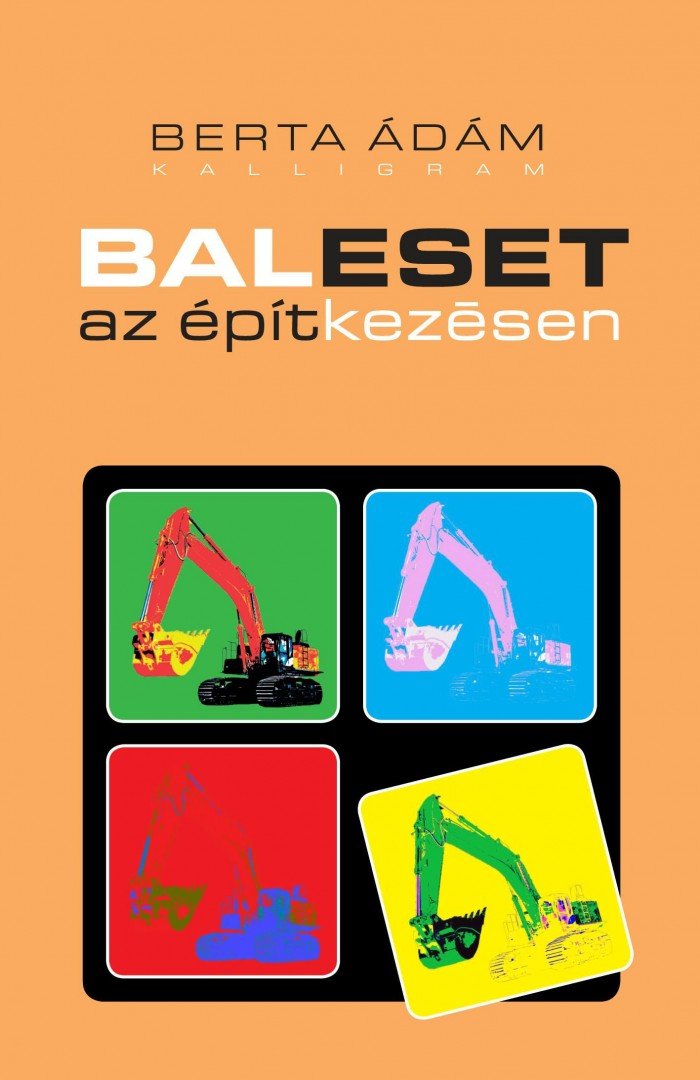 Berta Ádám - Baleset az építkezésen [antikvár]
