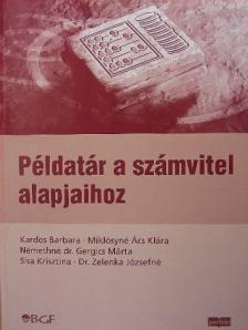 Dr. Zelenka Józsefné - Példatár a számvitel alapjaihoz [antikvár]
