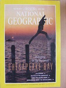 David Roberts - National Geographic June 1993 [antikvár]