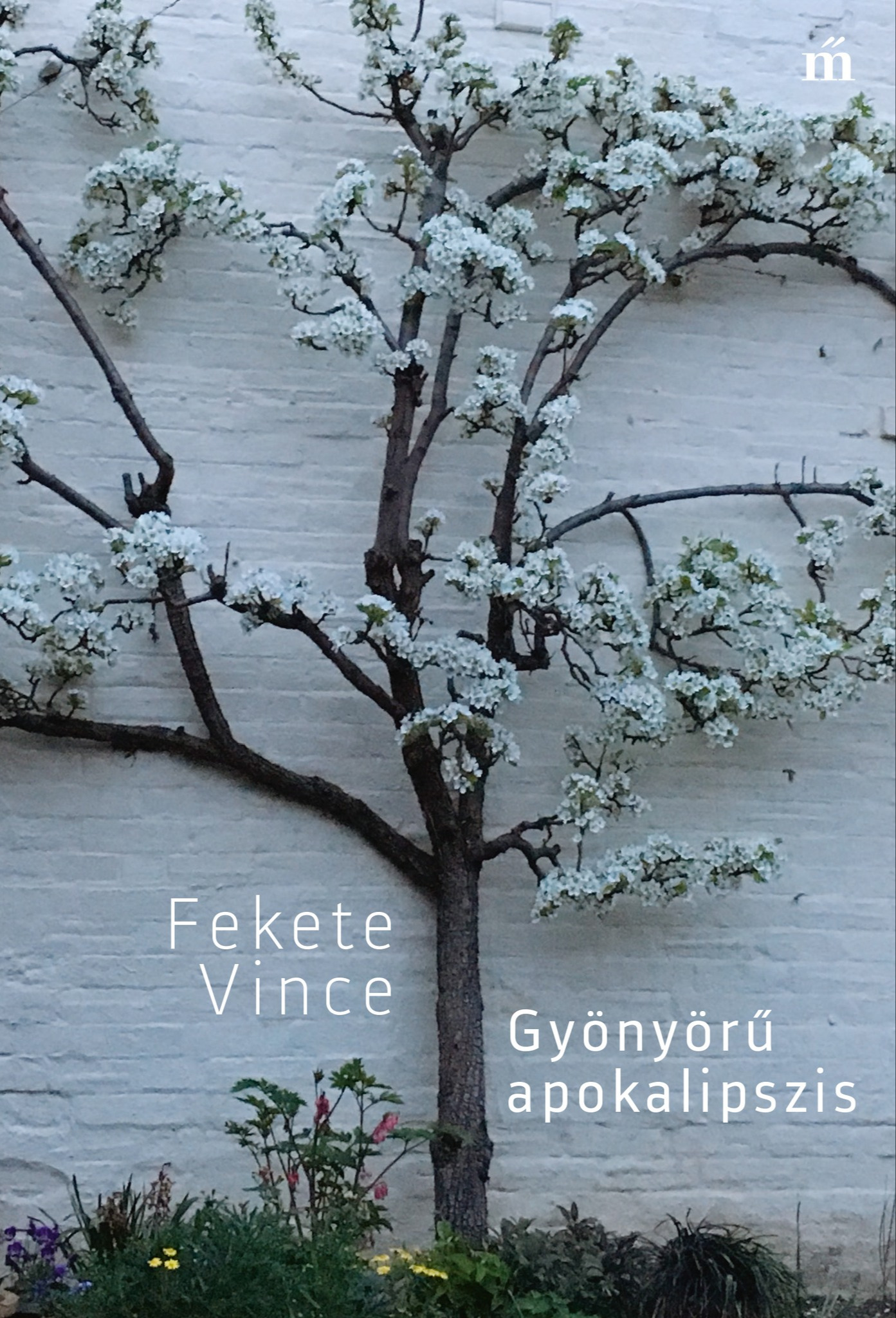 Fekete Vince - Gyönyörű apokalipszis [eKönyv: epub, mobi]