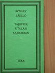 Kőváry László - Tájképek utazási rajzokban [antikvár]