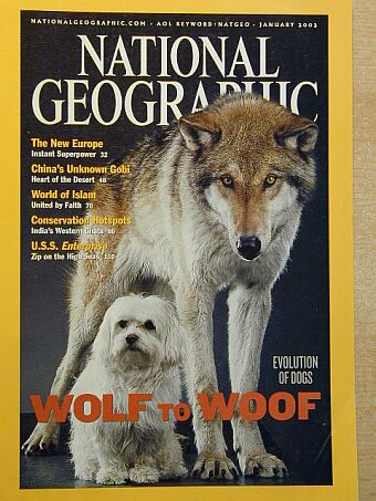 Angus Phillips - National Geographic January 2002 [antikvár]