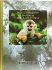 Anuschka de Rohan - Mysteries of the Rain Forest [antikvár]