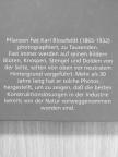 Rolf Sachsse - Karl Blossfeldt [antikvár]