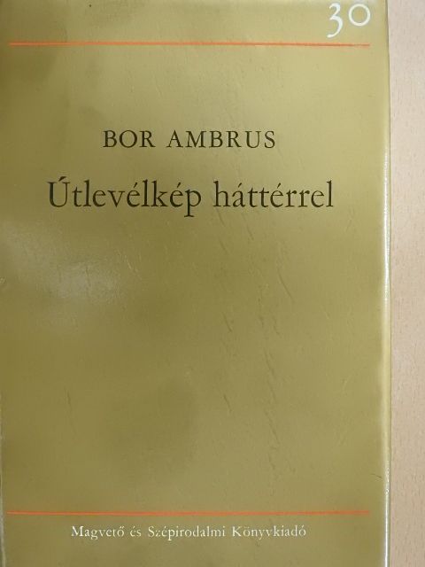 Bor Ambrus - Útlevélkép háttérrel [antikvár]