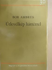 Bor Ambrus - Útlevélkép háttérrel [antikvár]
