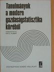 Árvay János - Tanulmányok a modern gazdaságstatisztika köréből [antikvár]