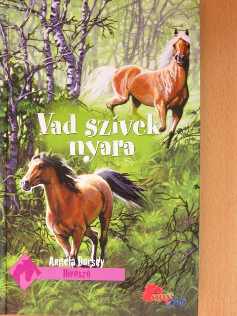 Angela Dorsey - Vad szívek nyara [antikvár]