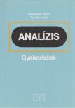 DENKINGER GÉZA, GYURKÓ LAJOS - Analízis gyakorlatok [antikvár]