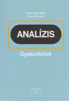DENKINGER GÉZA, GYURKÓ LAJOS - Analízis gyakorlatok [antikvár]