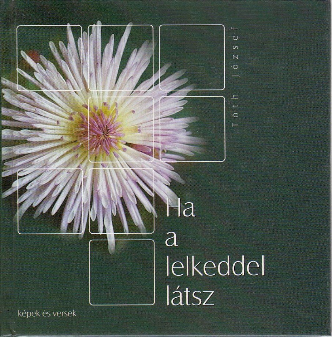 Tóth József - Ha a lelkeddel látsz [antikvár]