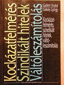 Gellért Andor - Kockázatfelmérés, szindikált hitelek, váltóleszámítolás [antikvár]