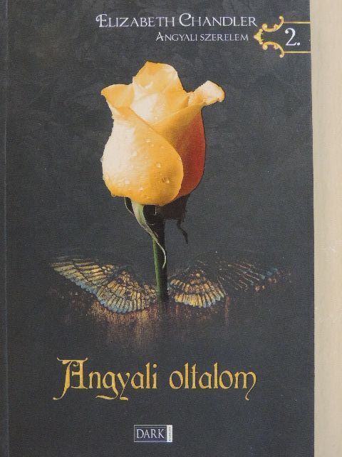 Elizabeth Chandler - Angyali oltalom [antikvár]