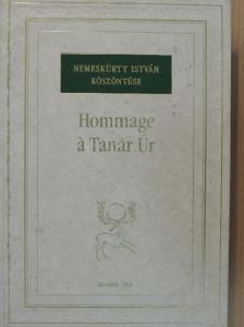 Boross Péter - Hommage á Tanár Úr [antikvár]