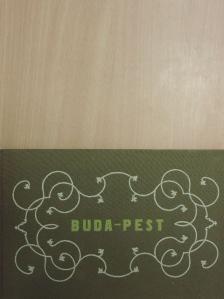 Alt Rudolf - Buda-Pest [antikvár]