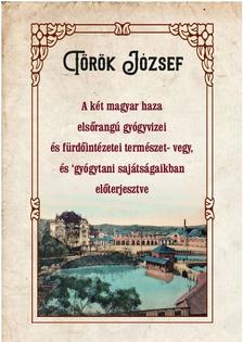 Török József - A két magyar haza elsőrangú gyógyvizei és fürdőintézetei természet- vegy, és gyógytani sajátságaikban előterjesztve