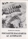 Kapitány Zsuzsa - Fogyasztói magatartás az autópiacon [antikvár]