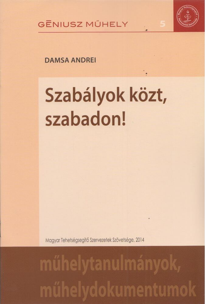 Damsa Andrei - Szabályok közt, szabadon! [antikvár]
