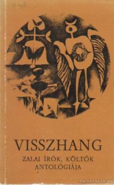 Pete György - Visszhang [antikvár]